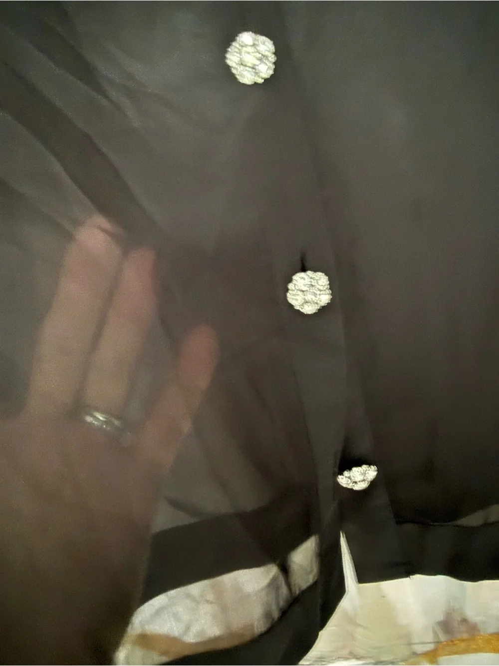 NWOT J. Crew Sheer Button Up Shirt with Jewel Buttons in Organza Blend
